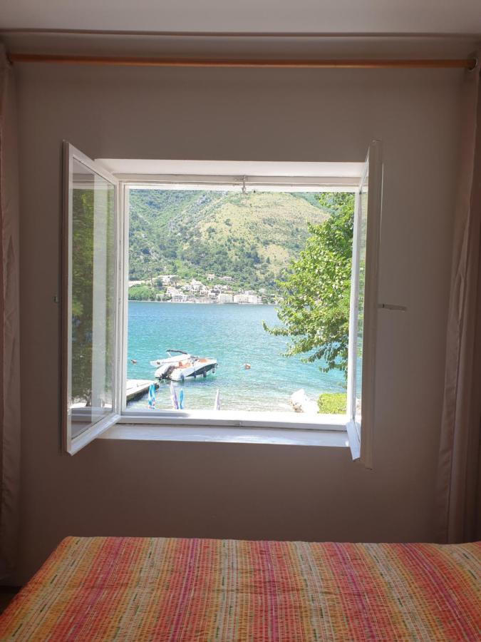Savic Apartments Kotor Extérieur photo