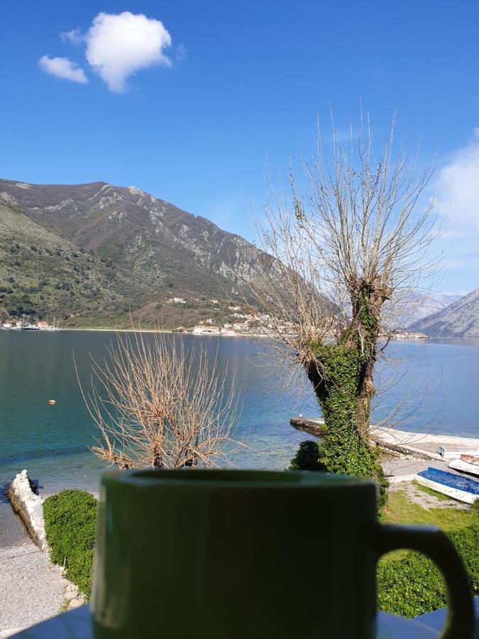 Savic Apartments Kotor Extérieur photo
