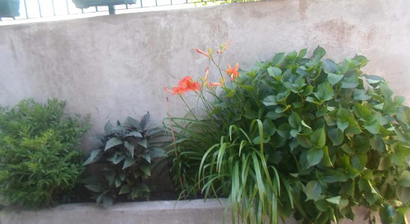 Savic Apartments Kotor Chambre photo